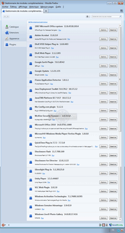 Exemple d'une liste de plug-ins dans Firefox